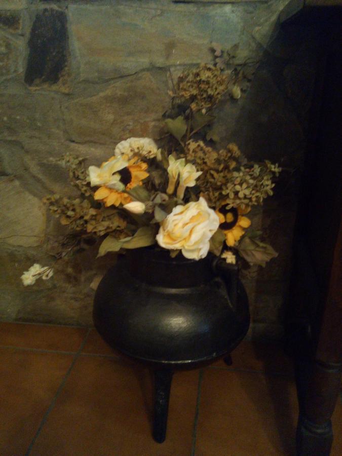 Chalet Nieves