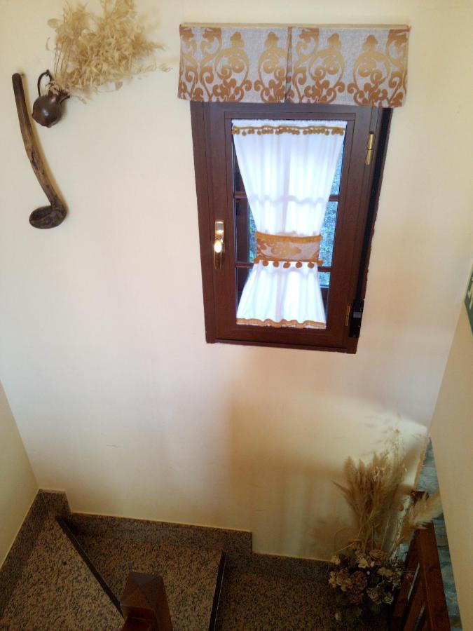 Nieves San Ciprián