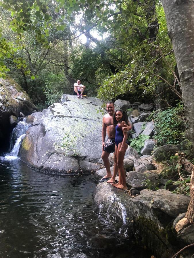 Nieves Chalet *